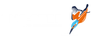 CNC-STEP