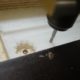 Plastic gears