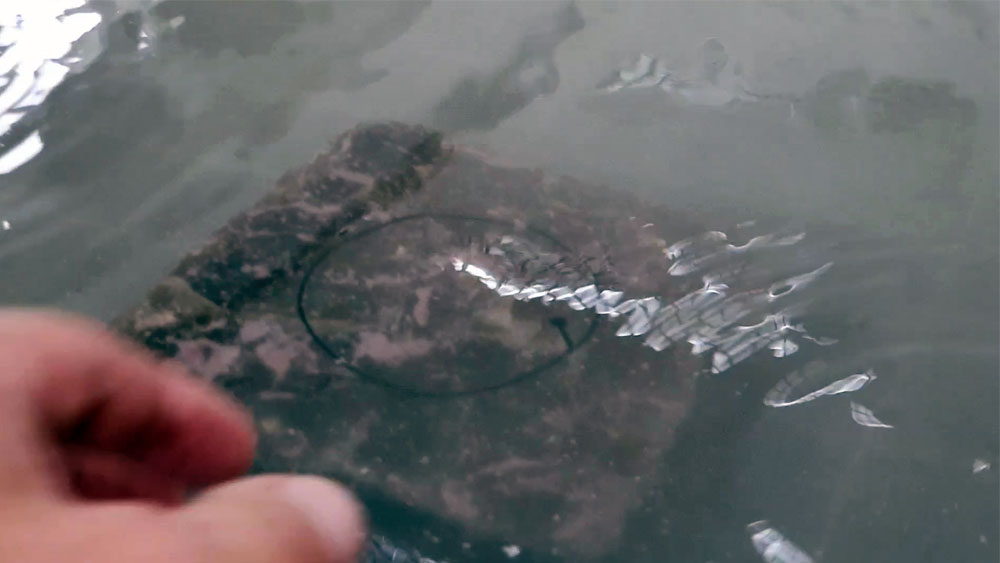 Natural stone cut with Water Jet Cutter