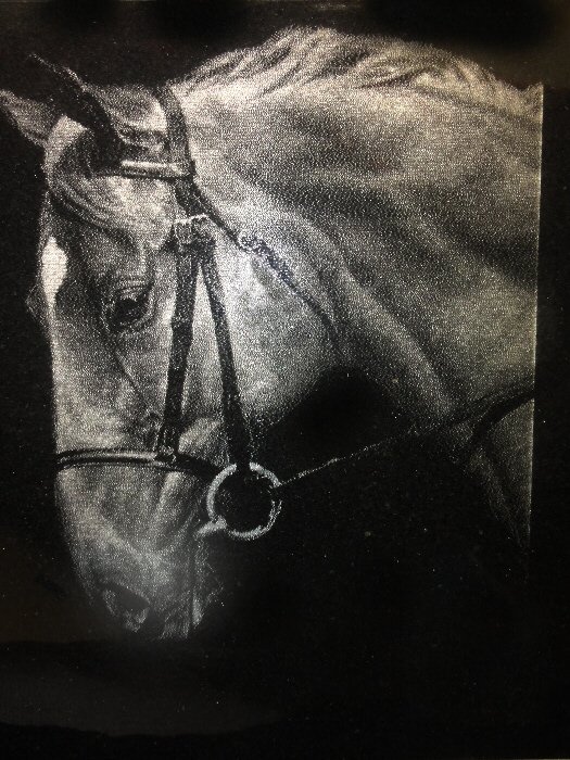 Photo Engraving Horse