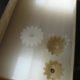 Plastic gears