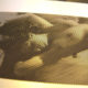 Lithophany nude photo