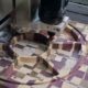 Wood milling nutshell nut dish